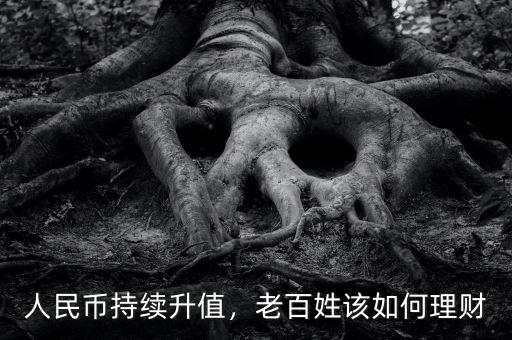 人民幣持續(xù)升值，老百姓該如何理財