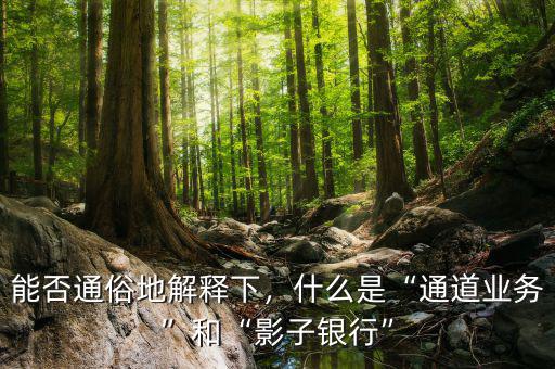 能否通俗地解釋下，什么是“通道業(yè)務(wù)”和“影子銀行”