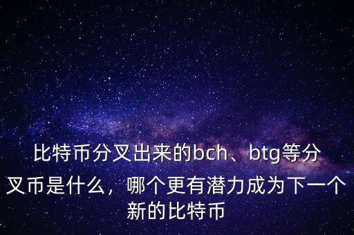 比特幣分叉出來的bch、btg等分叉幣是什么，哪個(gè)更有潛力成為下一個(gè)新的比特幣