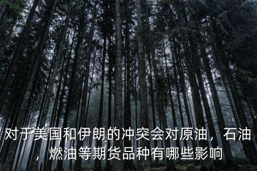 對(duì)于美國(guó)和伊朗的沖突會(huì)對(duì)原油，石油，燃油等期貨品種有哪些影響