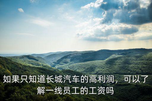 如果只知道長城汽車的高利潤，可以了解一線員工的工資嗎