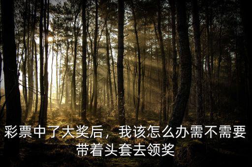 彩票中了大獎后，我該怎么辦需不需要帶著頭套去領(lǐng)獎