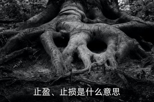 止盈、止損是什么意思
