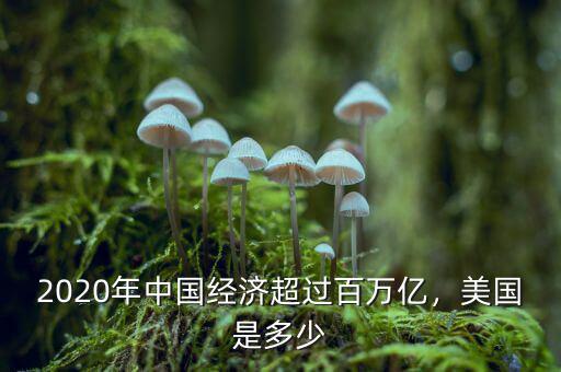 2020年中國經(jīng)濟(jì)超過百萬億，美國是多少
