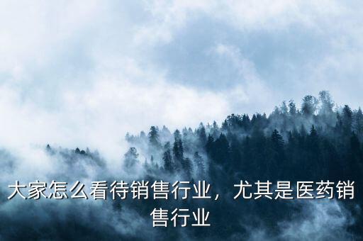 大家怎么看待銷(xiāo)售行業(yè)，尤其是醫(yī)藥銷(xiāo)售行業(yè)