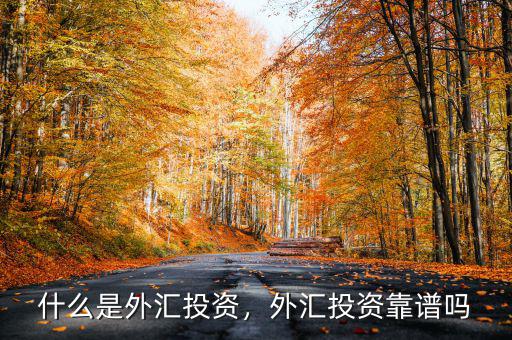 什么是外匯投資，外匯投資靠譜嗎