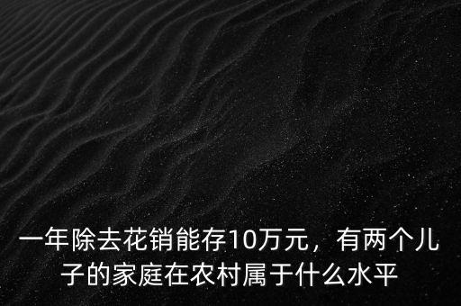一年除去花銷(xiāo)能存10萬(wàn)元，有兩個(gè)兒子的家庭在農(nóng)村屬于什么水平