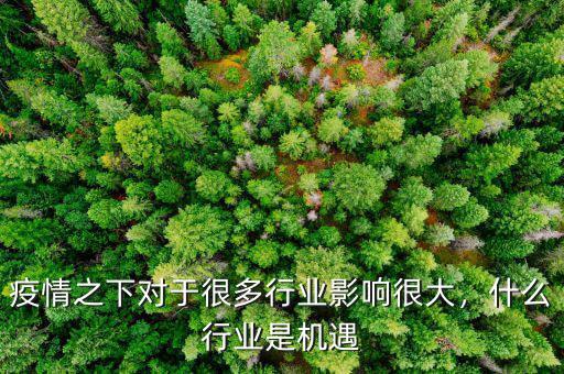 疫情之下對(duì)于很多行業(yè)影響很大，什么行業(yè)是機(jī)遇
