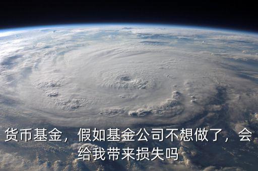 貨幣基金，假如基金公司不想做了，會(huì)給我?guī)?lái)?yè)p失嗎