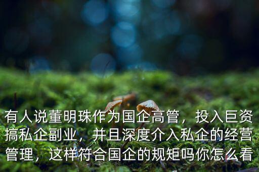 有人說(shuō)董明珠作為國(guó)企高管，投入巨資搞私企副業(yè)，并且深度介入私企的經(jīng)營(yíng)管理，這樣符合國(guó)企的規(guī)矩嗎你怎么看