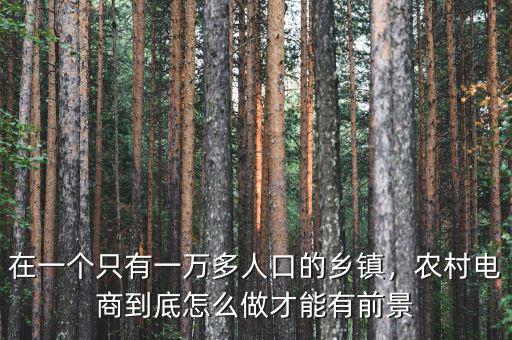 在一個只有一萬多人口的鄉(xiāng)鎮(zhèn)，農村電商到底怎么做才能有前景