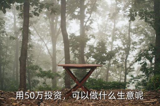 50萬(wàn)投資什么掙錢(qián),用50萬(wàn)投資