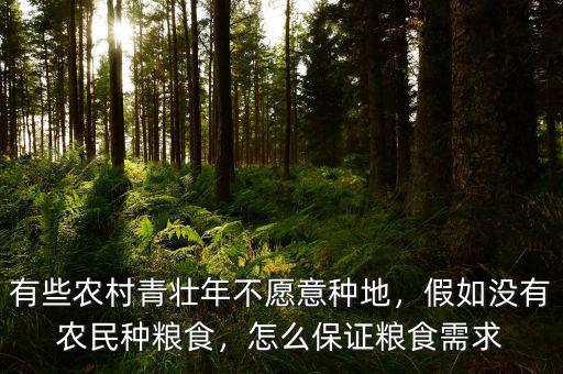 有些農(nóng)村青壯年不愿意種地，假如沒有農(nóng)民種糧食，怎么保證糧食需求