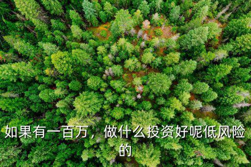 如果有一百萬，做什么投資好呢低風險的