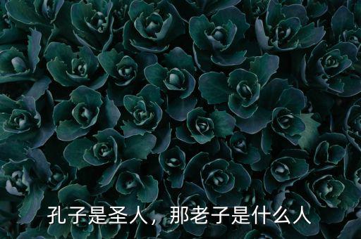 孔子是圣人，那老子是什么人