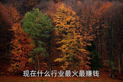 現在什么行業(yè)最火最賺錢