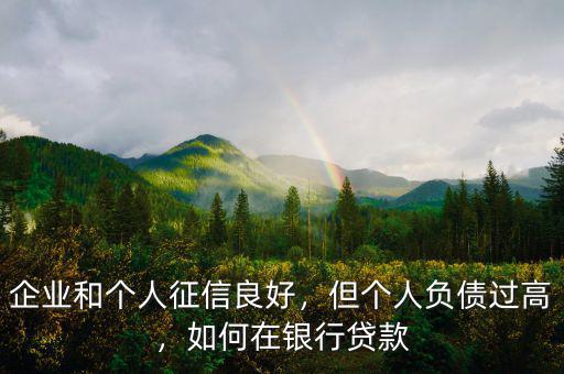 企業(yè)和個(gè)人征信良好，但個(gè)人負(fù)債過高，如何在銀行貸款
