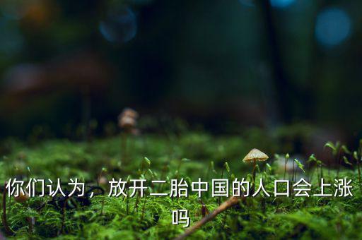 你們認(rèn)為，放開二胎中國(guó)的人口會(huì)上漲嗎