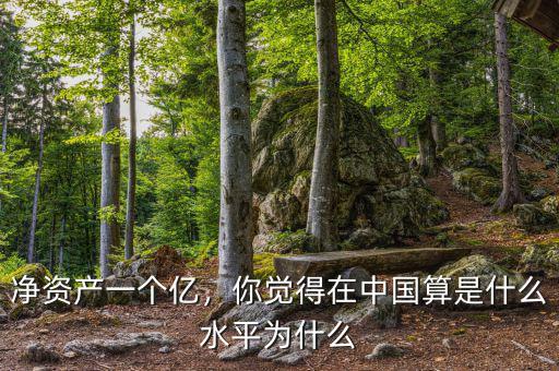 凈資產(chǎn)一個億，你覺得在中國算是什么水平為什么