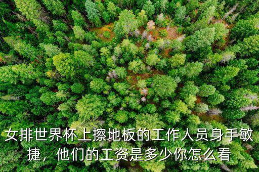 女排世界杯上擦地板的工作人員身手敏捷，他們的工資是多少你怎么看