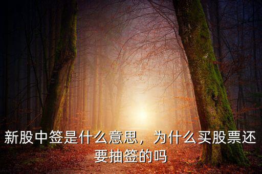 新股中簽是什么意思，為什么買股票還要抽簽的嗎