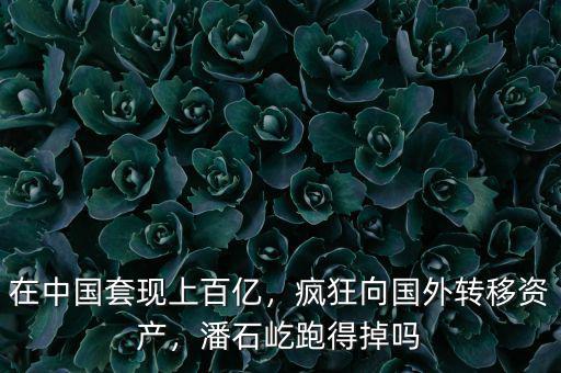 在中國(guó)套現(xiàn)上百億，瘋狂向國(guó)外轉(zhuǎn)移資產(chǎn)，潘石屹跑得掉嗎
