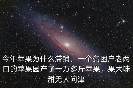 今年蘋果為什么滯銷，一個(gè)貧困戶老兩口的蘋果園產(chǎn)了一萬多斤蘋果，果大味甜無人問津