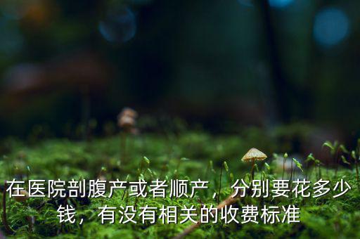 在醫(yī)院剖腹產(chǎn)或者順產(chǎn)，分別要花多少錢，有沒有相關(guān)的收費標準