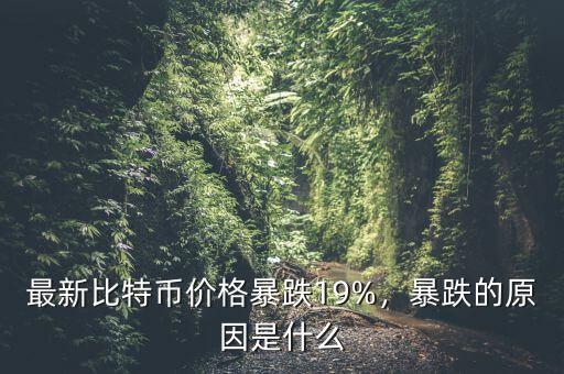 最新比特幣價格暴跌19%，暴跌的原因是什么