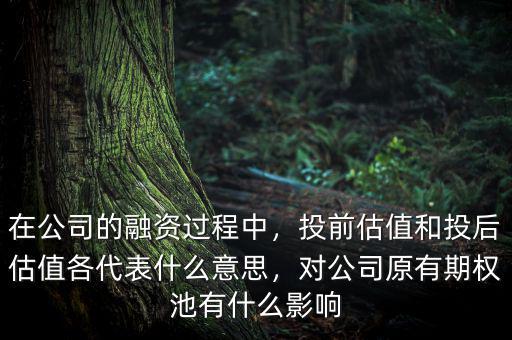在公司的融資過程中，投前估值和投后估值各代表什么意思，對公司原有期權(quán)池有什么影響