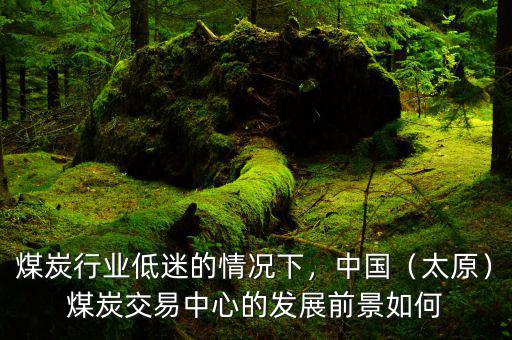 煤炭行業(yè)低迷的情況下，中國(guó)（太原）煤炭交易中心的發(fā)展前景如何
