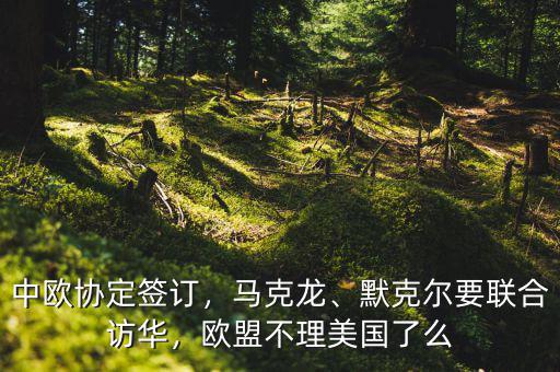 中歐協(xié)定簽訂，馬克龍、默克爾要聯(lián)合訪華，歐盟不理美國了么