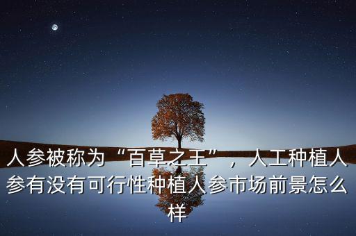 人參被稱為“百草之王”，人工種植人參有沒(méi)有可行性種植人參市場(chǎng)前景怎么樣