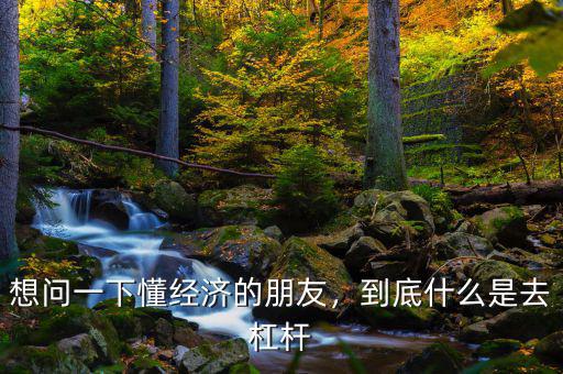 想問一下懂經(jīng)濟(jì)的朋友，到底什么是去杠桿
