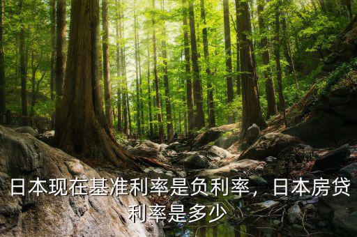日本現(xiàn)在基準利率是負利率，日本房貸利率是多少