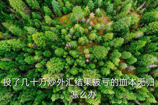 投了幾十萬炒外匯結(jié)果被虧的血本無歸，怎么辦