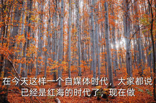 在今天這樣一個(gè)自媒體時(shí)代，大家都說已經(jīng)是紅海的時(shí)代了，現(xiàn)在做