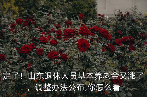 定了！山東退休人員基本養(yǎng)老金又漲了，調(diào)整辦法公布,你怎么看