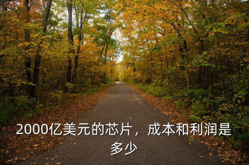 2000億美元的芯片，成本和利潤(rùn)是多少