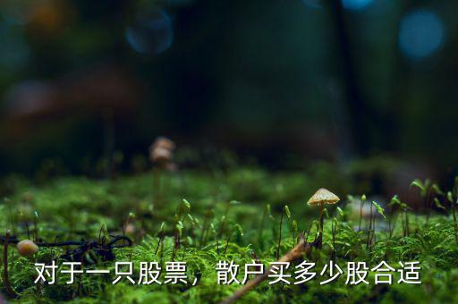 對(duì)于一只股票，散戶買多少股合適
