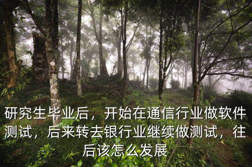 研究生畢業(yè)后，開始在通信行業(yè)做軟件測試，后來轉(zhuǎn)去銀行業(yè)繼續(xù)做測試，往后該怎么發(fā)展
