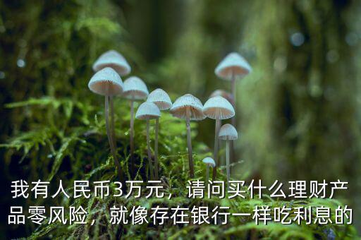 我有人民幣3萬(wàn)元，請(qǐng)問(wèn)買(mǎi)什么理財(cái)產(chǎn)品零風(fēng)險(xiǎn)，就像存在銀行一樣吃利息的
