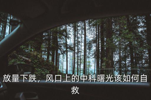 放量下跌，風口上的中科曙光該如何自救