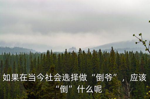 如果在當今社會選擇做“倒爺”，應(yīng)該“倒”什么呢