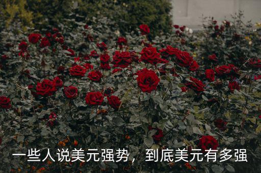一些人說美元強(qiáng)勢(shì)，到底美元有多強(qiáng)