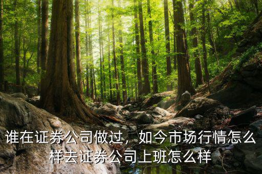 誰在證券公司做過，如今市場行情怎么樣去證券公司上班怎么樣