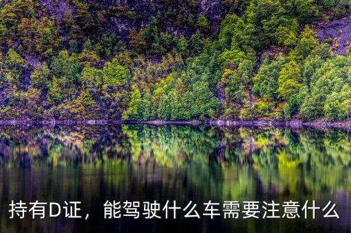 持有D證，能駕駛什么車需要注意什么