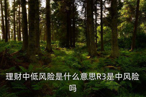 云財經低風險模型是什么意思,R3是中風險嗎