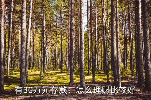有30萬(wàn)元存款，怎么理財(cái)比較好