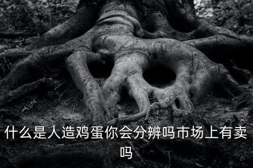 人造雞蛋多少錢(qián)內(nèi)地有賣的嗎,市場(chǎng)上有賣嗎